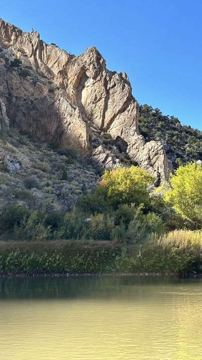 A craggy rock buttress rises above green riverside brush and the murky, calm water of the Green River in Split Mountain Canyon under a clear sky.