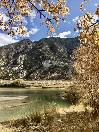 Golden cottonwood branches frame a calm green bend of the Green River, with a sandbar, brushy banks, and the rocky, juniper-covered flank of Split Mountain rising beyond.