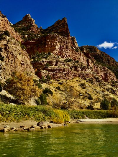 Rust-red striated cliffs and pinnacles tower over a golden grass bench and a single yellow cottonwood at the edge of the green river in fall.