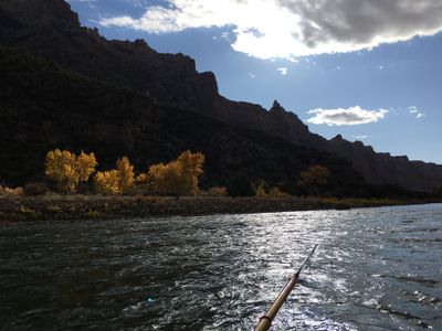 Backlit golden cottonwoods glow against the silhouetted rim of Split Mountain Canyon as sunlight sparkles on the dark riffled water, with an oar tip entering the frame.