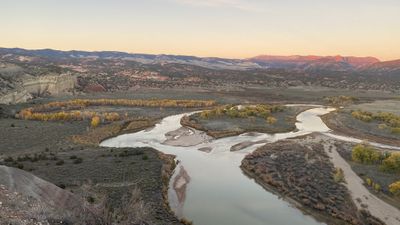 Soft twilight over braided channels of the Green River winding through open bottomland lined with golden cottonwoods, below a pale clay bluff, with distant ridges glowing pink.