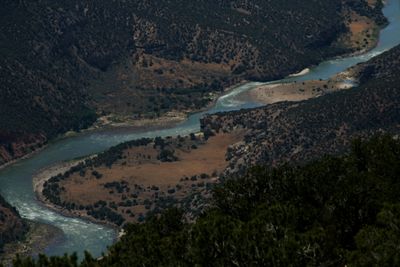 View from a high canyon rim down onto a bend of the Green River sliding past an open bench, with strips of whitewater winding between juniper-covered slopes.