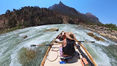 SOB Rapid