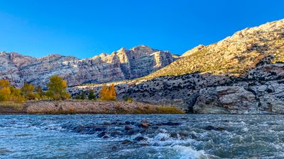 Fast, shallow water slides over a cobble bar toward golden cottonwoods and the sunlit white sandstone wall of Split Mountain under a deep blue autumn sky.