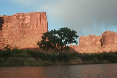 Low evening sun lights a red sandstone butte above a lone cottonwood on the bank of the muddy Green River in Stillwater Canyon, with a dark storm sky behind.
