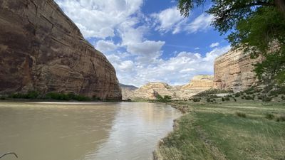 Grassy riverbank at Echo Park with silt-laden water curving beneath a sheer sandstone monolith, cottonwoods and a sandy beach on the far shore under a blue sky with clouds.