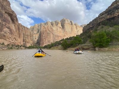 Two oar rafts, one yellow and one gray, floating side by side on flat muddy water beneath tall buff sandstone cliffs in Yampa Canyon.