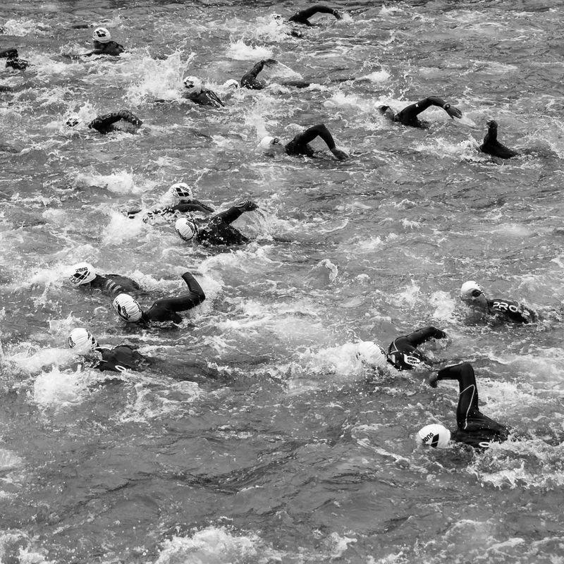 swimming bw