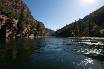 Sun glints on the green river between steep pine-covered canyon walls under a clear blue sky.