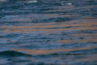 Close view of river ripples, blue-grey water banded with warm reflected light from a cliff.