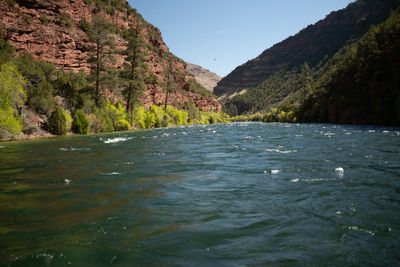 The river runs wide and riffled between red canyon walls and bright spring cottonwoods under clear sky.