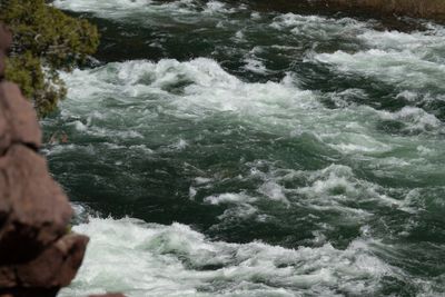 A rapid churns white over deep green water, red rock and juniper framing the near bank.