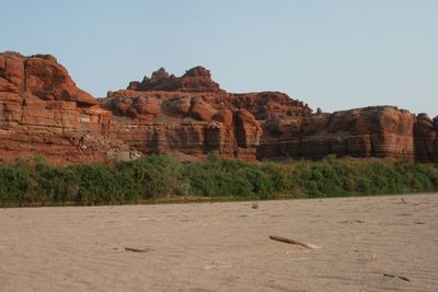 Red sandstone cliffs with rounded knobs and pale horizontal bands rise above a continuous green tamarisk thicket, seen across a wide rippled sand bar scattered with driftwood.