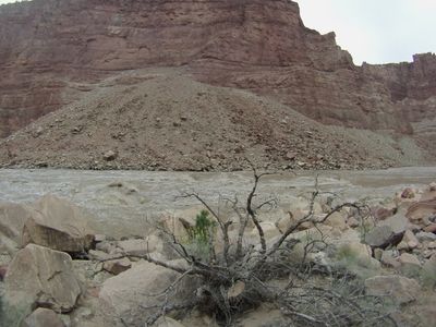 A large rocky debris fan spills from the canyon wall into the silt-brown Colorado, whitewater breaking along its toe, seen across a dead shrub from a boulder-strewn bank in Cataract Canyon.