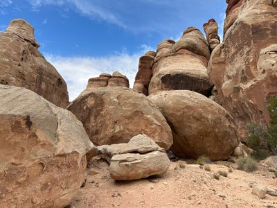 Massive rounded sandstone boulders and banded, mushroom-capped columns crowd close overhead above a sandy floor, a juniper at right and thin cirrus in a deep blue sky.