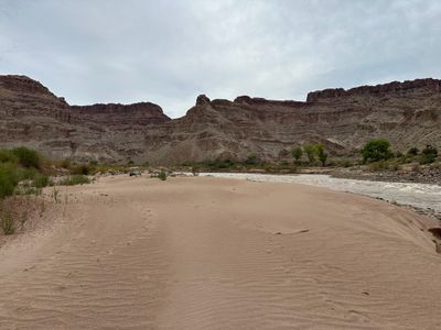 A wide, wind-rippled sand bar runs down to a silty brown river with a riffle breaking along the far bank, cottonwoods and green brush lining the shore below banded gray and red canyon slopes under flat overcast.