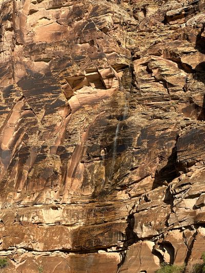 A close view of a blocky tan and pink sandstone wall crossed by joints, slabs and ledges, with a thin ribbon of falling water streaking down a dark-stained groove near the center and small shrubs at the base.