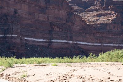 A thin bright white band runs horizontally through a dark red layered sandstone wall above a talus slope, with green riparian shrubs and a footprinted sand beach in the foreground.