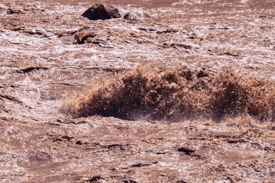 A close telephoto view of a brown river wave breaking into a burst of muddy spray in a rapid, with dark rocks above it and sun glinting off the churned surface.