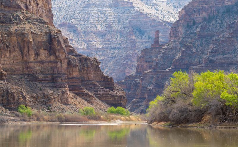 The Green River flowing calm between layered sandstone walls in Desolation Canyon