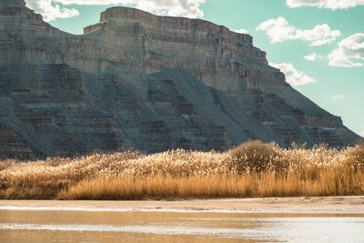 canyon wall grass sky deso 3 2026
