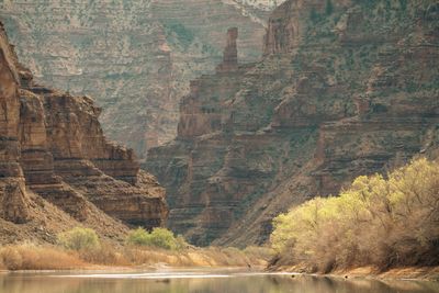 Layered canyon walls and Lighthouse Rock, the slender spire named by John Wesley Powell, above spring-green cottonwoods lining calm water.