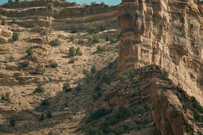 A layered canyon wall scattered with juniper and pinyon.