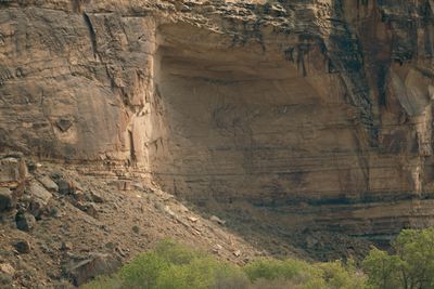 A massive smooth sandstone alcove in the canyon wall with cottonwoods below.