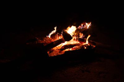 Flames rising from driftwood burning in a fire pan at night.