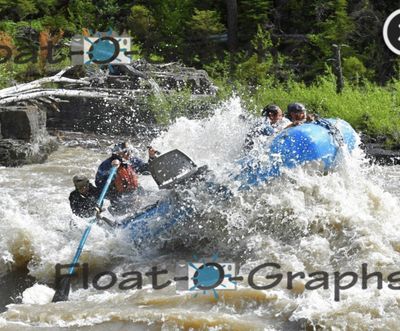 A blue raft is thrown up on its side in a Snake River rapid, the rower flung sideways off the frame seat with an oar raked down to the left while two crew hang onto the high tube, a spray curtain across the middle of the frame and a bedrock shelf with deadfall behind.