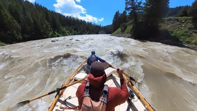 Bow-forward view from a wooden dory heading into a wide field of standing waves on a swollen river, the rower in a rust-red shirt pulling on both oars and a boater in blue seated low in the bow, dense conifer forest rising on both banks under blue sky.