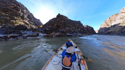 Wooden dory approaches a rapid in Westwater Canyon between dark metamorphic walls, a small yellow-leafed tree clinging to the rock and whitewater breaking downstream on the right.