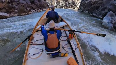 Two boaters row a wooden dory through choppy whitewater in a narrow Westwater Canyon rapid, dark schist walls tight on both sides.